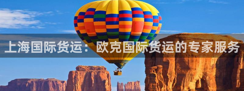 尊龙官网免费下载：上海国际货运：欧克国际货运的专家服务