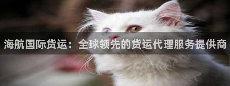尊龙凯时总部在哪里：海航国际货运：全球领先的货运代理服务