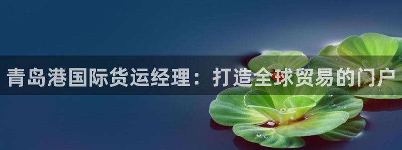 尊龙凯时app官方网站：青岛港国际货运经理：打造全球贸易