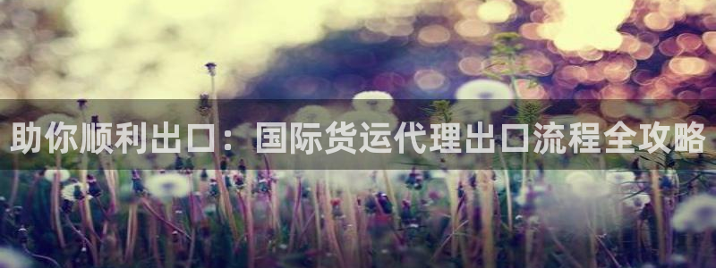 尊龙凯时人生就是搏!平台：助你顺利出口：国际货运代理出口