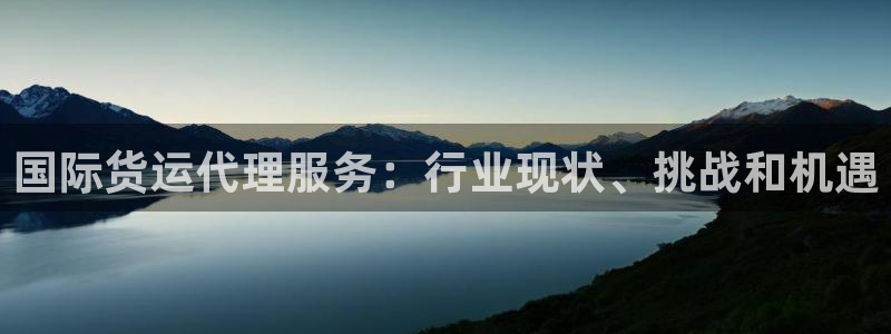 尊龙凯时 - 人生就是搏手机登录：国际货运代理服务：行业