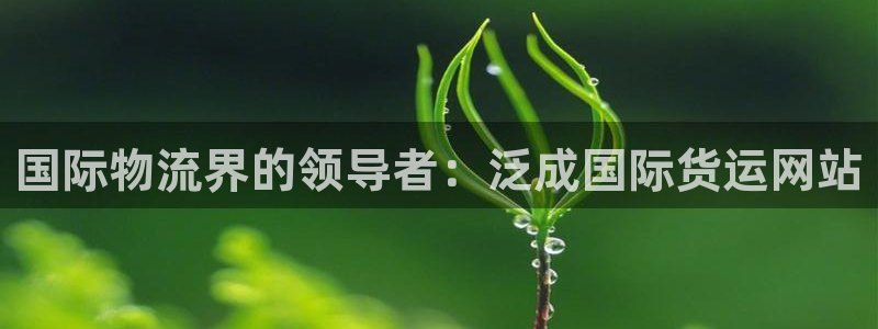 尊龙凯时产品种类：国际物流界的领导者：泛成国际货运网站