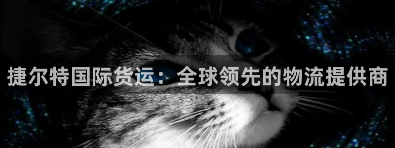 尊龙官网首页：捷尔特国际货运：全球领先的物流提供商