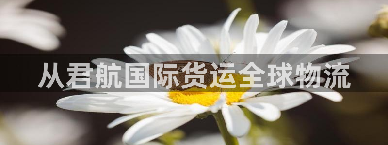 尊龙现金推荐ag发财网：从君航国际货运全球物流