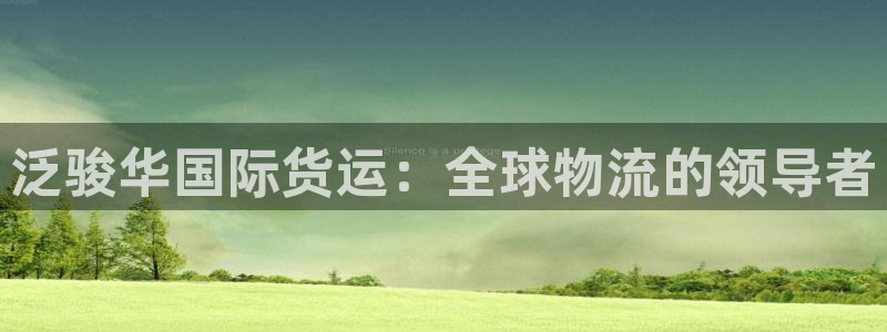 尊龙人生就是-首页(中国)有限公司：泛骏华国际货运：全球