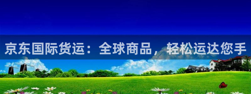 尊龙凯时有没有出不了款的情况：京东国际货运：全球商品，轻