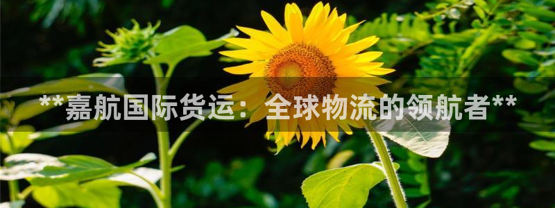 尊龙凯时-人生就是博中国官网：**嘉航国际货运：全球物流