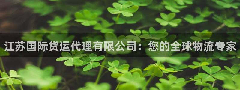 尊龙凯时请求参数不符合：江苏国际货运代理有限公司：您的全