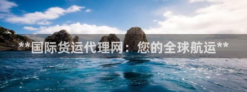 尊龙ktv怎么样：**国际货运代理网：您的全球航运**