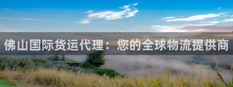 尊龙人生就是博网站下载：佛山国际货运代理：您的全球物流提