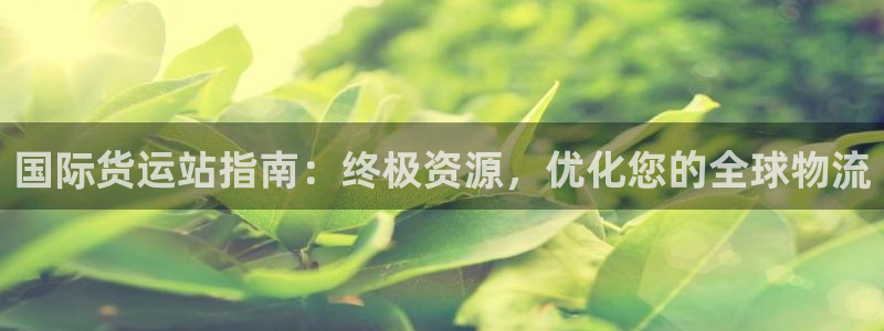 尊龙手机官方客户端下载安卓：国际货运站指南：终极资源，优