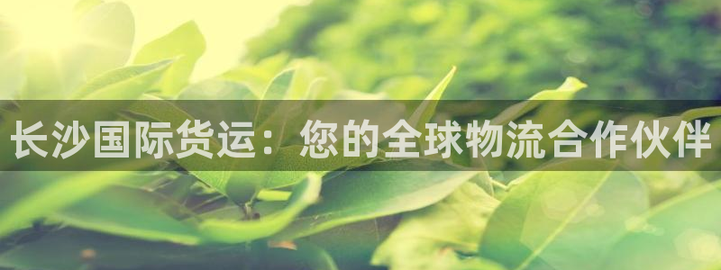 尊龙/人生就是博：长沙国际货运：您的全球物流合作伙伴