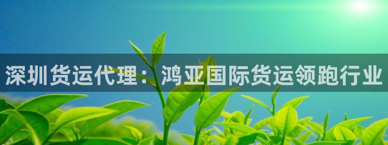 尊龙凯时百万奖池：深圳货运代理：鸿亚国际货运领跑行业