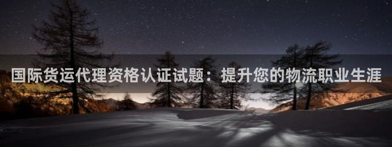 尊龙人生就是博i可靠吗：国际货运代理资格认证试题：提升您
