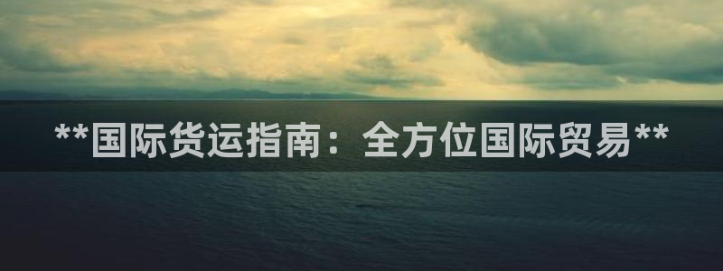 尊龙集团有限公司官网：**国际货运指南：全方位国际贸易*