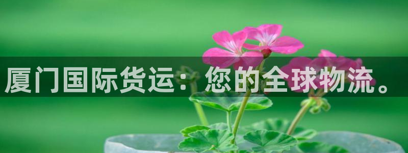 尊龙凯时客服：厦门国际货运：您的全球物流。