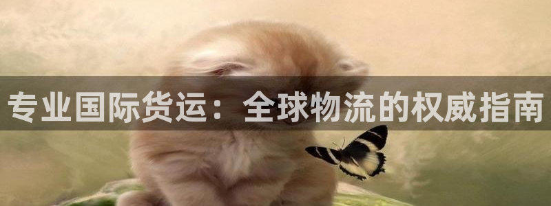 尊龙 贴吧：专业国际货运：全球物流的权威指南