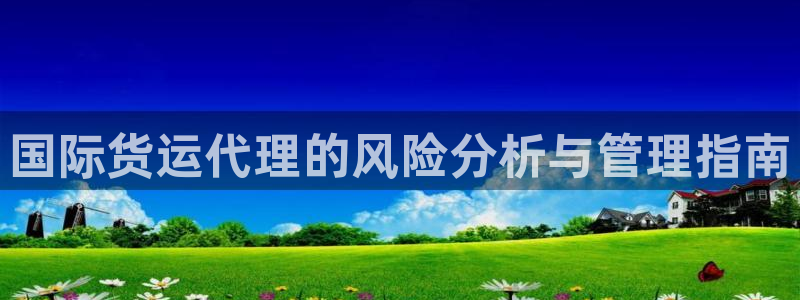 z6尊龙官方网站：国际货运代理的风险分析与管理指南