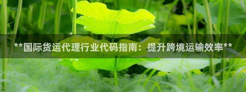 尊龙凯时是直营吗：**国际货运代理行业代码指南：提升跨境