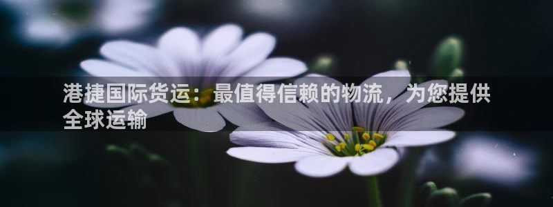 尊龙 10：港捷国际货运：最值得信赖的物流，为您提供
全