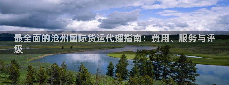 尊龙人生就是博送38：最全面的沧州国际货运代理指南：费用