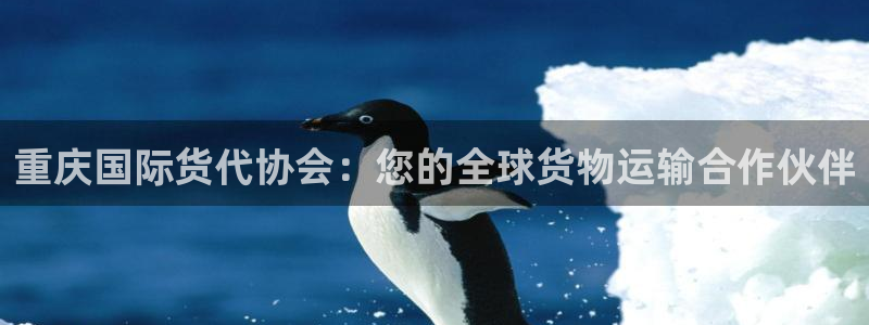 z6com尊龙：重庆国际货代协会：您的全球货物运输合作伙
