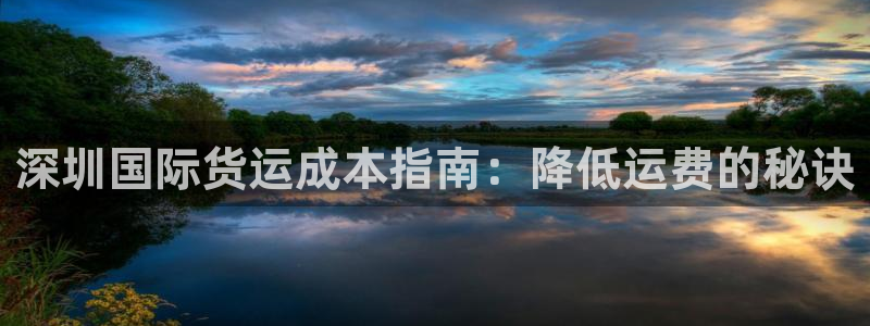 尊龙官网网站：深圳国际货运成本指南：降低运费的秘诀
