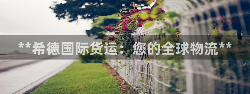 尊龙凯时登入首页：**希德国际货运：您的全球物流**