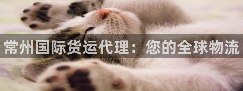 尊龙凯时赢不了：常州国际货运代理：您的全球物流
