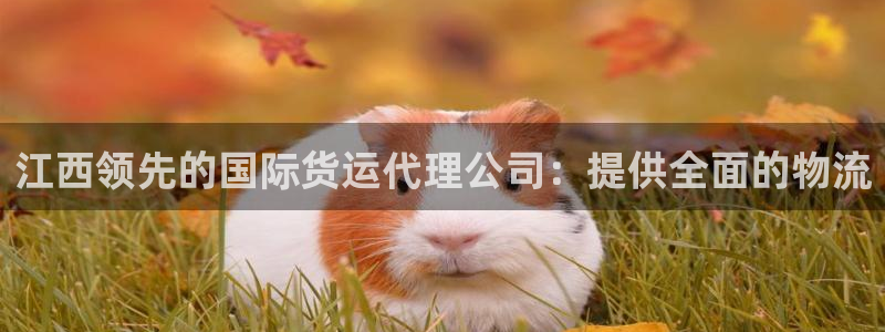 尊龙t500和t300区别：江西领先的国际货运代理公司：