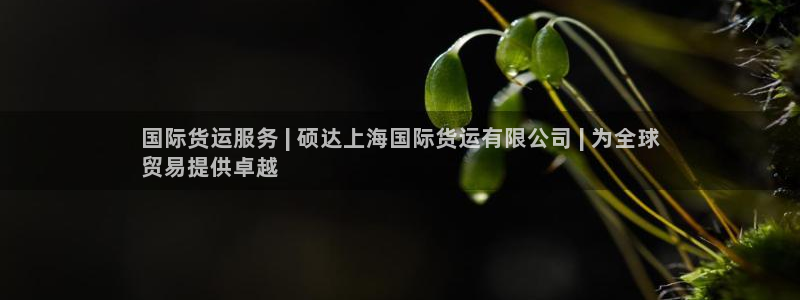 尊龙集团有限公司：国际货运服务 | 硕达上海国际货运有限