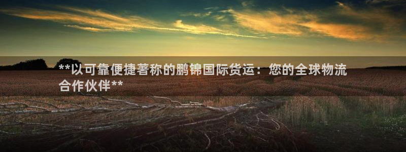 尊龙凯时口碑好吗：**以可靠便捷著称的鹏锦国际货运：您的