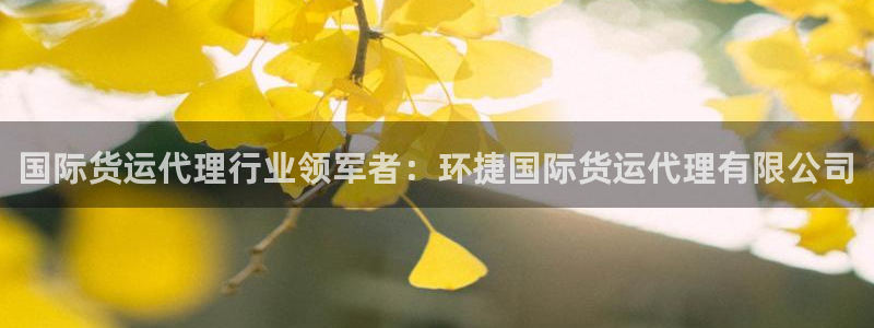 尊龙人生就是博首页：国际货运代理行业领军者：环捷国际货运