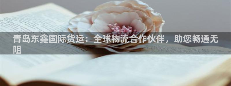尊龙凯时几百万怎么下：青岛东鑫国际货运：全球物流合作伙伴