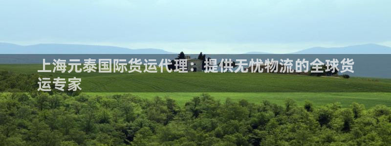 尊龙凯时平台不给出款怎么办：上海元泰国际货运代理：提供无