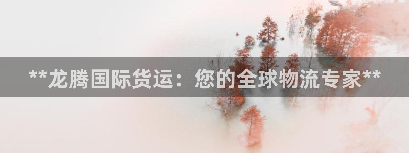 尊龙网站登录：**龙腾国际货运：您的全球物流专家**