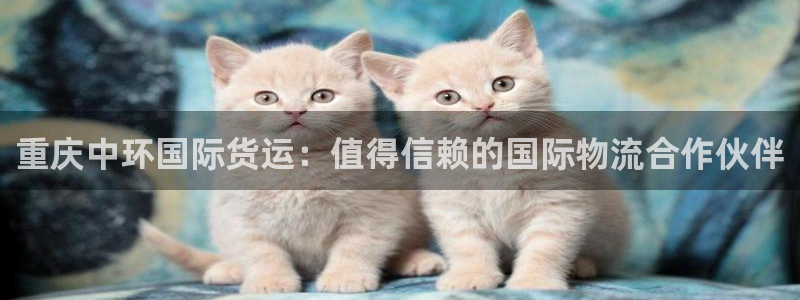 尊龙t600：重庆中环国际货运：值得信赖的国际物流合作伙