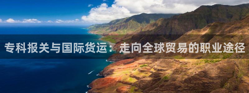 尊龙ag旗舰厅登陆：专科报关与国际货运：走向全球贸易的职