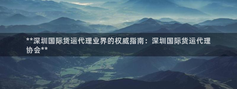 尊龙凯时福米推荐人：**深圳国际货运代理业界的权威指南：
