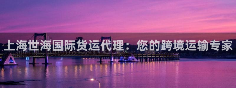 尊龙人生就是博下载：上海世海国际货运代理：您的跨境运输专