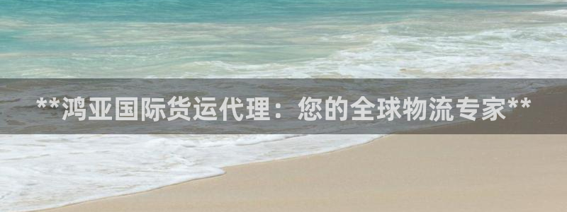 尊龙现金推荐ag发财网：**鸿亚国际货运代理：您的全球物