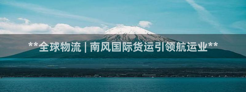 尊龙凯时防屏蔽网址：**全球物流 | 南风国际货运引领航