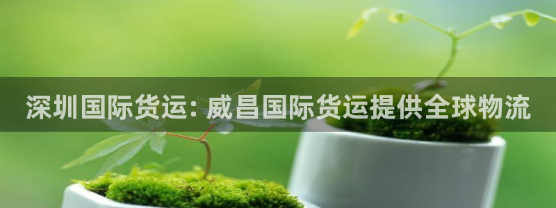 下载尊龙：深圳国际货运: 威昌国际货运提供全球物流