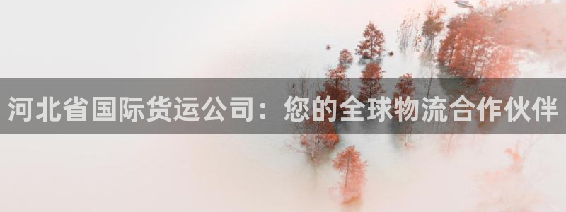 尊龙凯时公司官网：河北省国际货运公司：您的全球物流合作伙