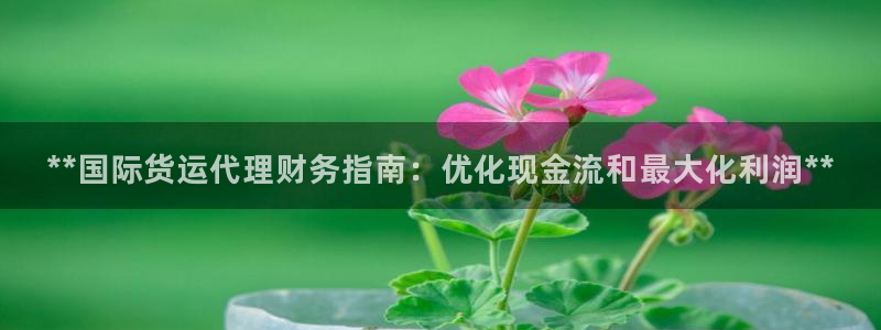 尊龙 贴吧：**国际货运代理财务指南：优化现金流和最大化
