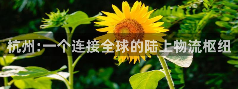 尊龙官网APP下载