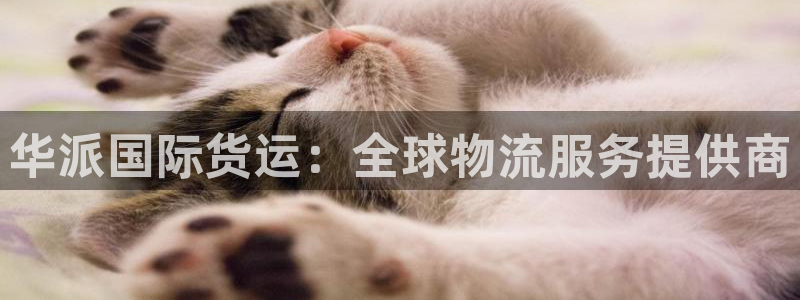 尊龙凯时取款不成功