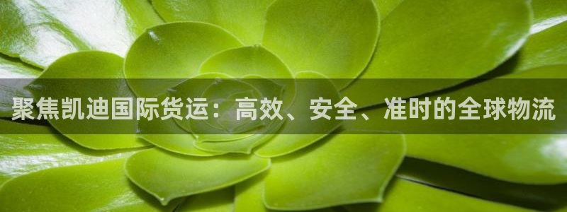 尊龙凯时ag旗舰