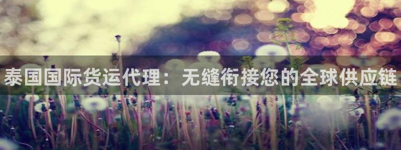 尊龙凯时推荐人：泰国国际货运代理：无缝衔接您的全球供应链