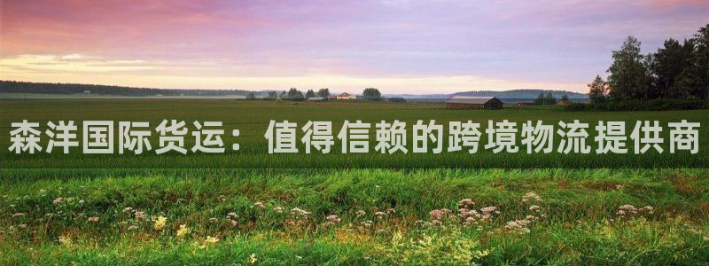 尊龙凯时能不能提现?：森洋国际货运：值得信赖的跨境物流提